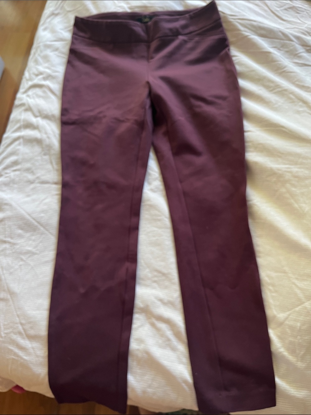 Dalia burgundy stretchy pants (size 10)